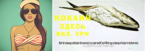 spice Бородино