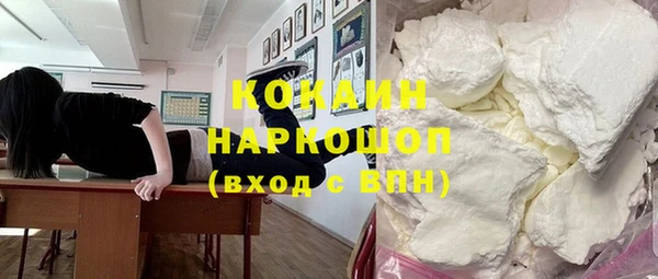 spice Бородино