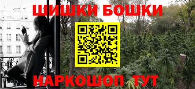 мдпв Дубна