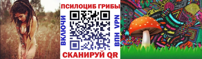 магазин продажи Гатчина Псилоцибиновые грибы мухоморы