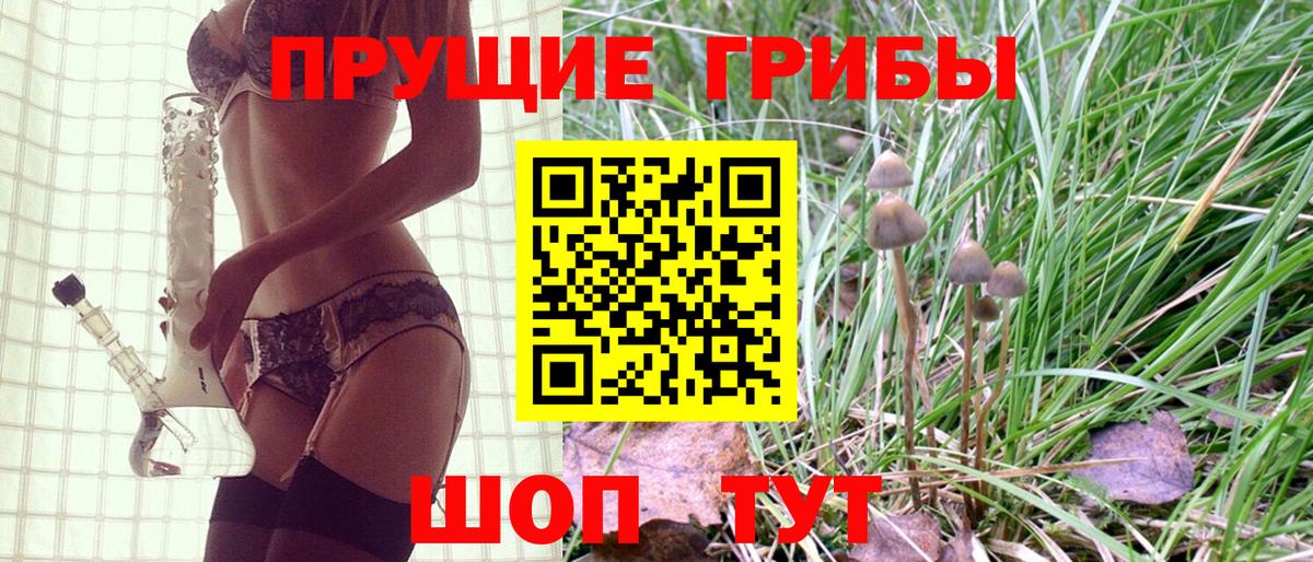 Гатчина  Галлюциногенные грибы прущие грибы  Псилоцибиновые грибы мухоморы  Вход с VPN 