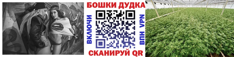 Каннабис VHQ  Гатчина 